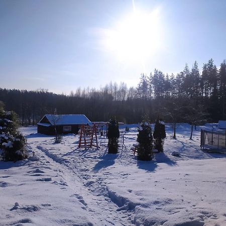 Brivdienu Maja Skerskani Krāslava Extérieur photo